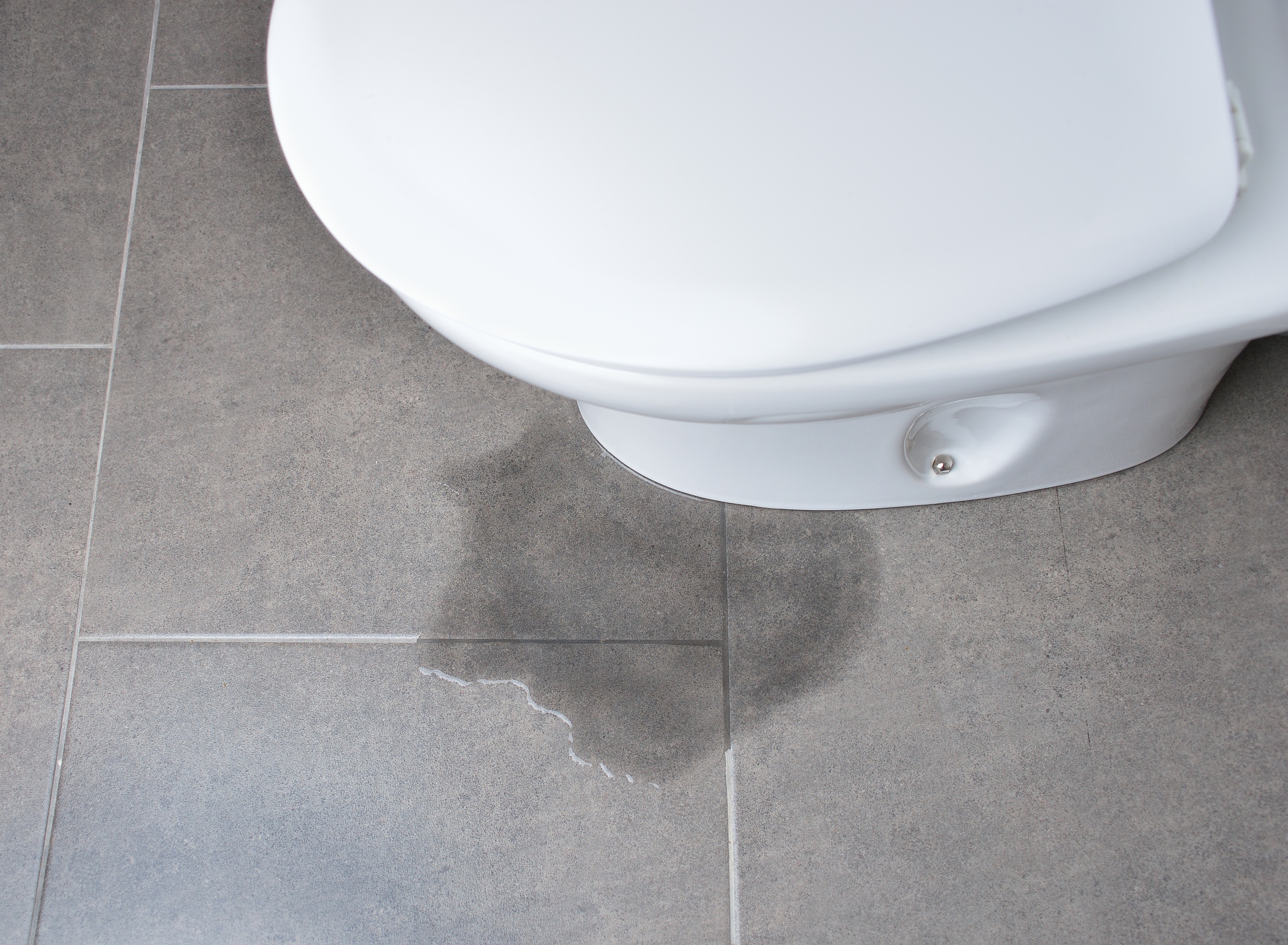 leak from the base of a toilet